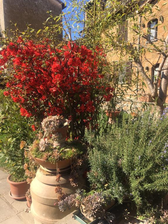 Atmosfera D'Arte - Private Parking Hotel Orvieto Luaran gambar